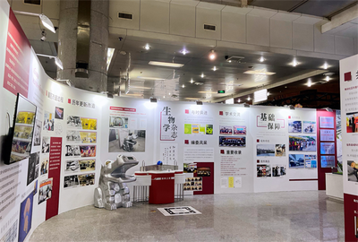 專業會展策劃服務 安徽斯百德一站式展會展覽解決方案與企業形象設計